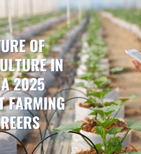 Future of Agriculture in India 2025 Smart Farming Careers