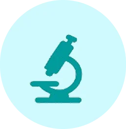 Icon (3)