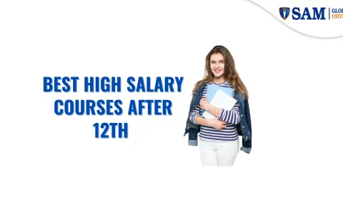 Top 40 Best High Salary Courses After 12th – Stream Wise