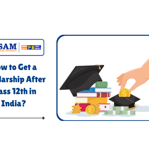 How to Get a Scholarship After Class 12th in India